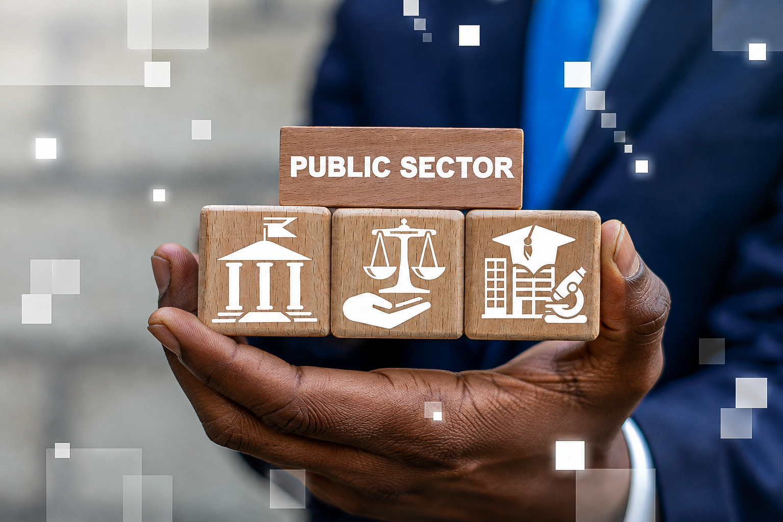 Government and public sector procurement